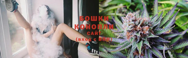 шишки Наволоки