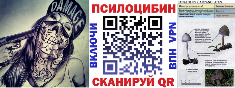 Псилоцибиновые грибы мицелий  Лодейное Поле 